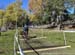 2017 CX Nationals