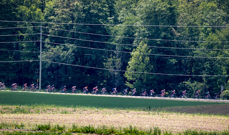 K-W Classic Road Race, Ontario Provincial Road Championships