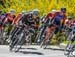 2017 Sprinkbank RR