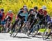 2017 Sprinkbank RR