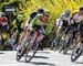 2017 Sprinkbank RR