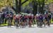 2017 Sprinkbank RR
