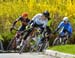 2017 Springbank RR