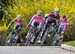 2017 Springbank road races