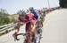 Amgen Tour of California, 2017