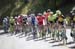 Amgen Tour of California, 2017