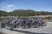 Amgen Tour of California, 2017