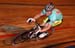SAPUTO BURNABY 4 (DAY 2) - UCI Elite Men Madison