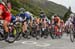 2017 Road World Championships, Bergen, Norway