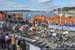 2017 Road World Championships, Bergen, Norway