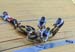 2017 Track World Championships