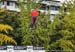 2017 Urban Worlds - Freestyle Qualies