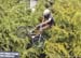 2017 Urban Worlds - Freestyle Qualies