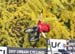 2017 Urban Worlds - Freestyle Qualies