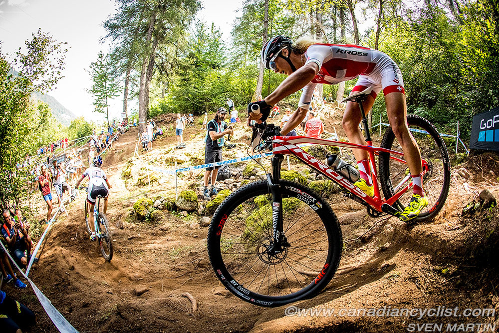 worldcupVDS