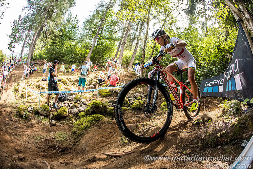 worldcupVDS