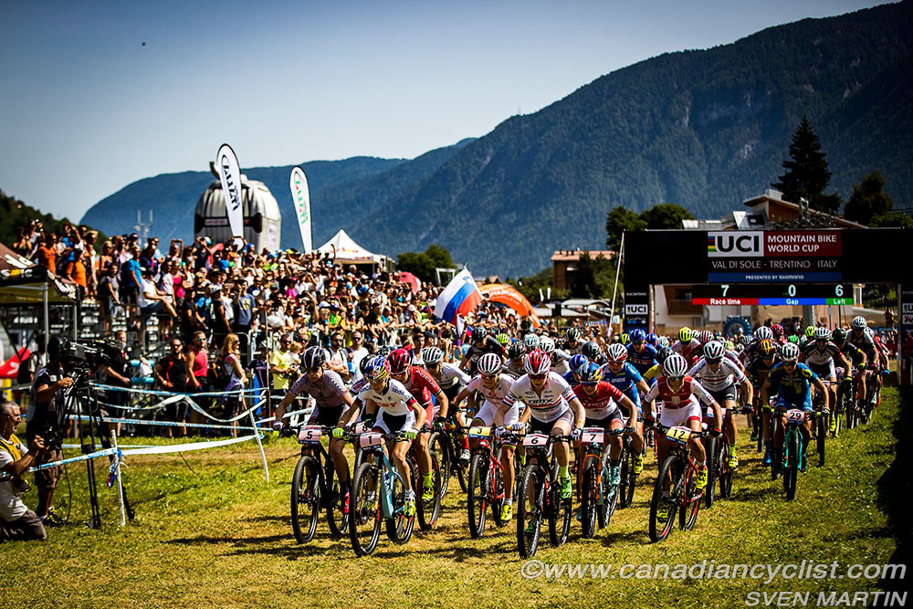worldcupVDS