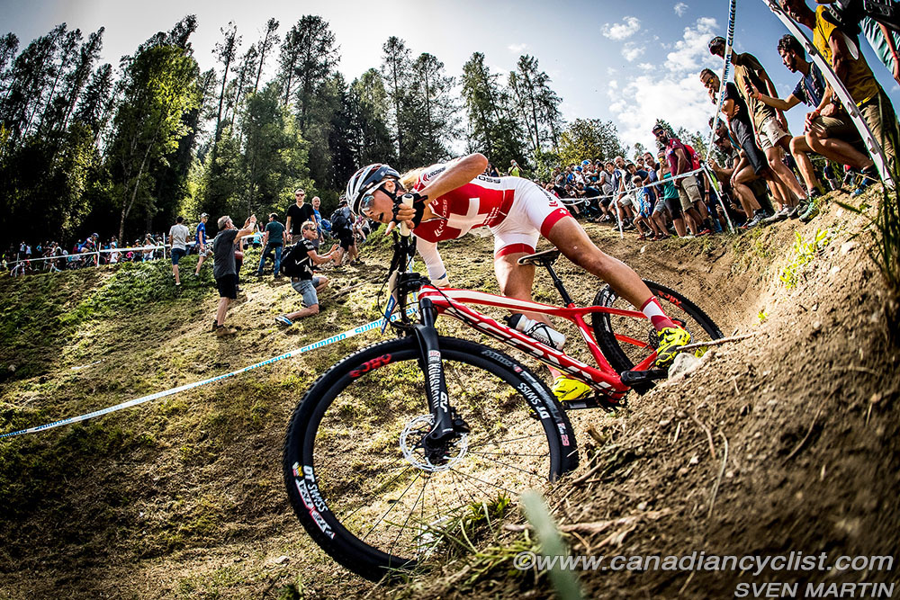 worldcupVDS