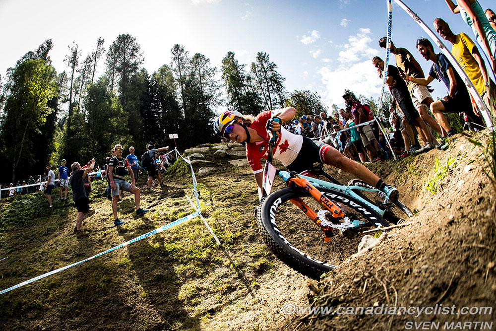 worldcupVDS