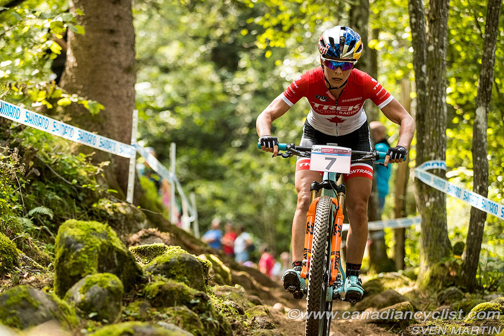 worldcupVDS