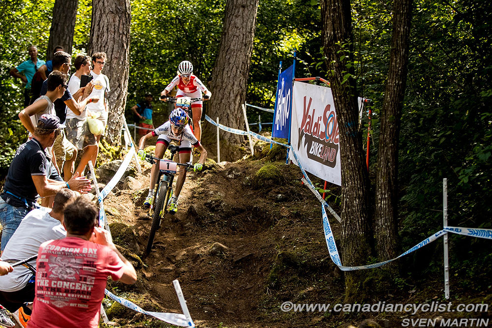 worldcupVDS