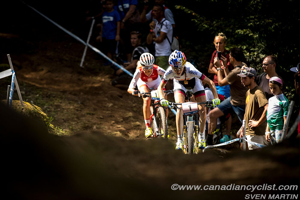 worldcupVDS