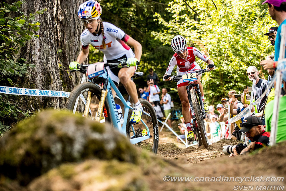 worldcupVDS