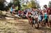 worldcupVDS