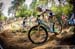 worldcupVDS