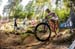 worldcupVDS