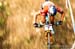 worldcupVDS