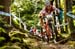 worldcupVDS