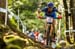 worldcupVDS