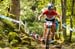 worldcupVDS