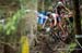 2017 Lenzerheide World Cup