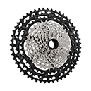 New XTR Group