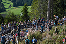 MTB World Champs EM