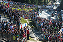 MTB World Champs EM