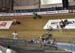 Track World Cup Milton 2018