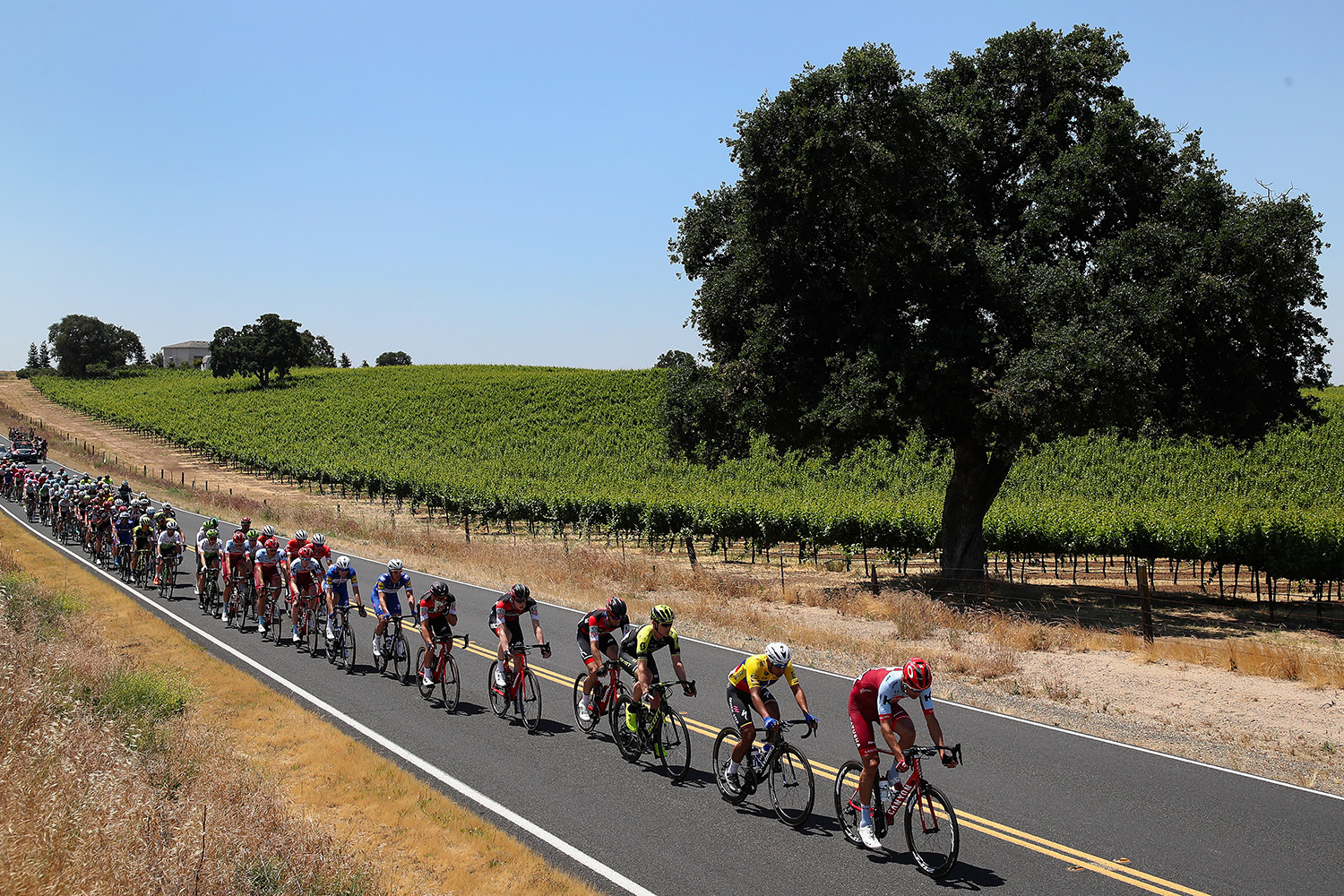 775137812CP00011_Cycling_13