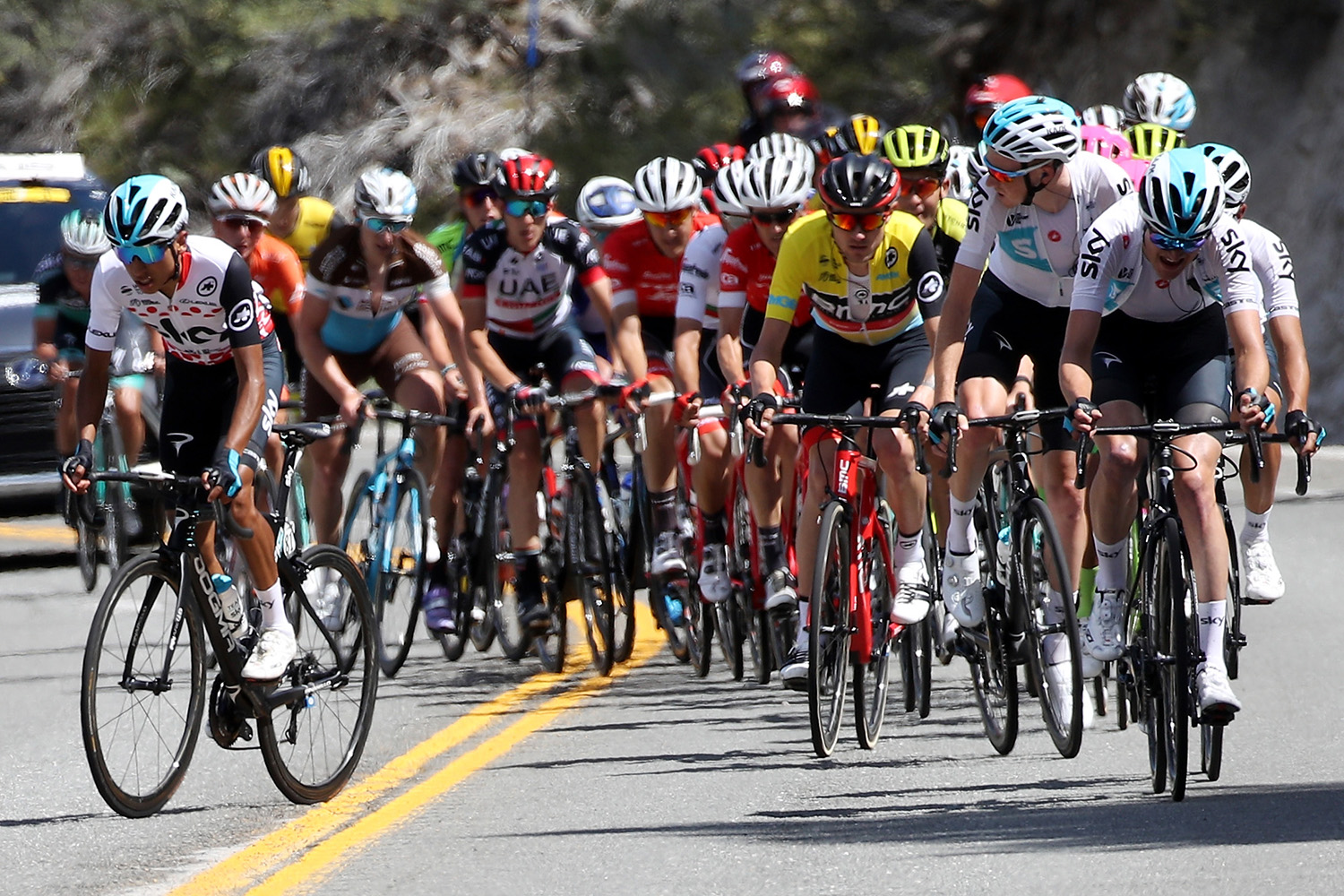775137813CG00044_Cycling_13