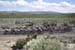 775137813CG00064_Cycling_13