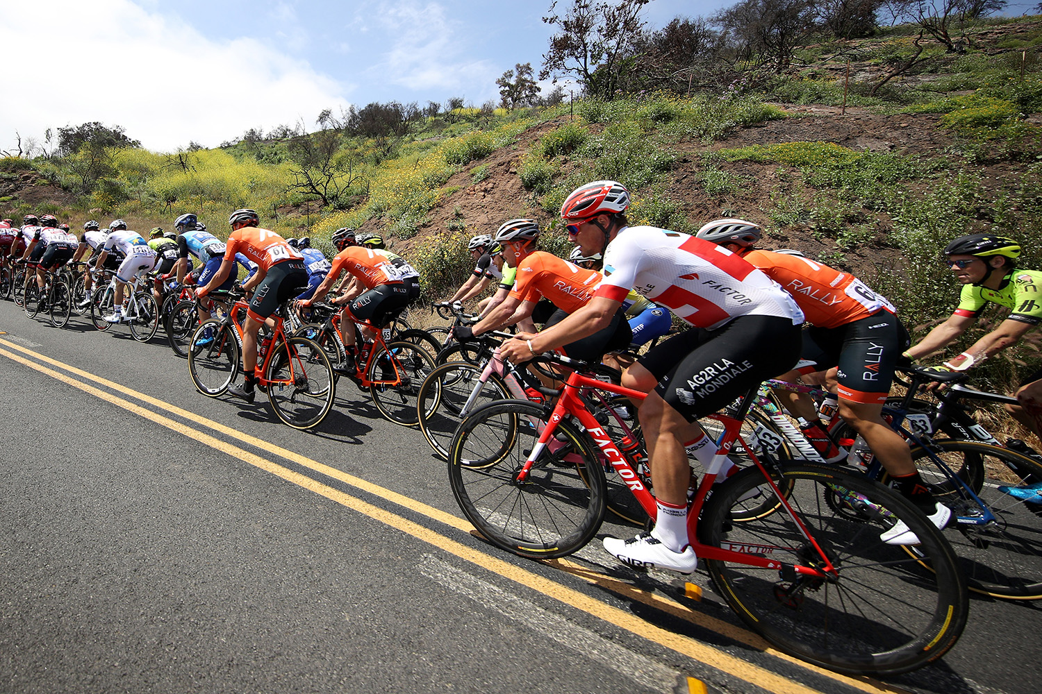 775137808CG00010_Cycling_13