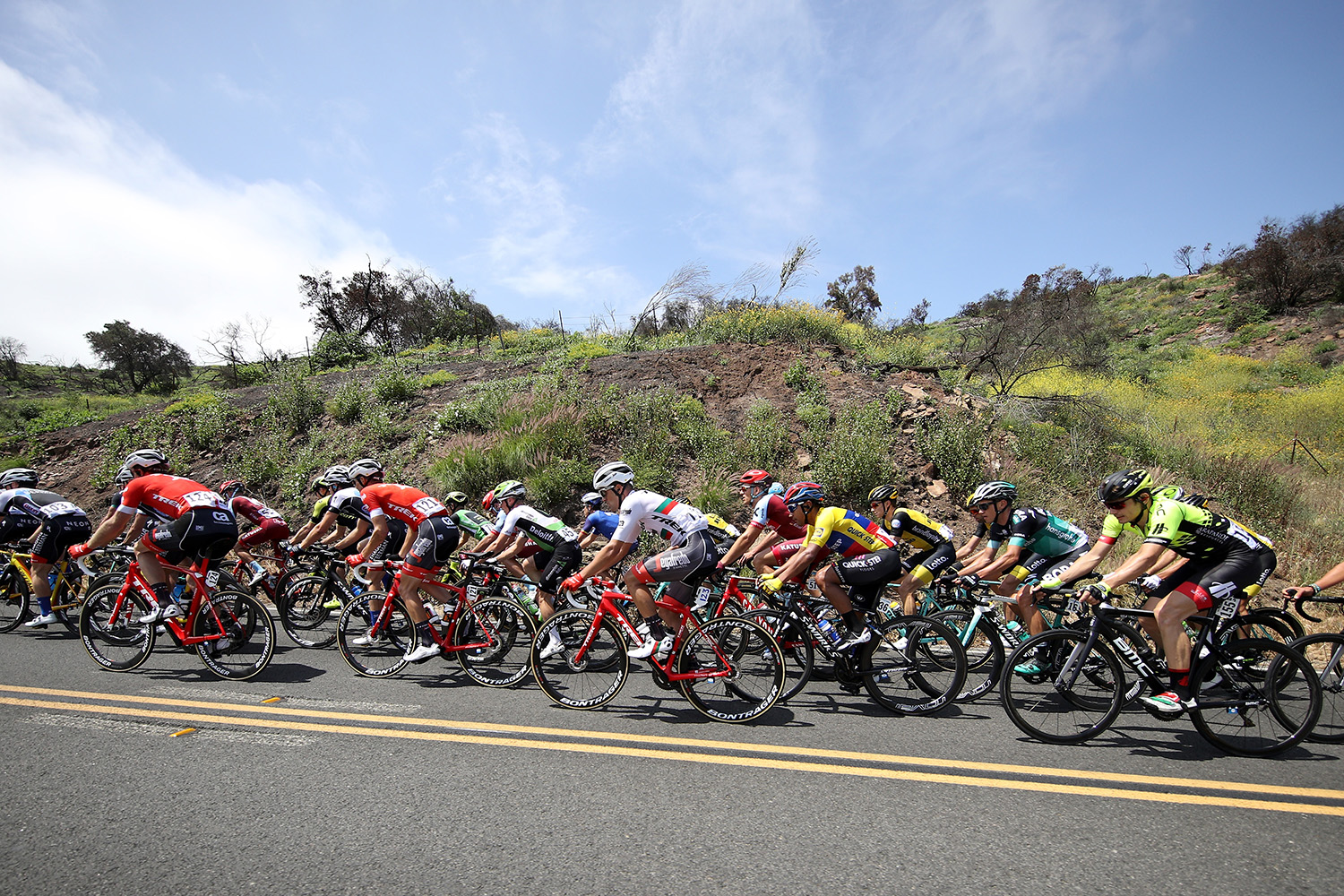 775137808CG00012_Cycling_13