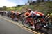 775137808CG00010_Cycling_13