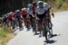 775137808CG00043_Cycling_13