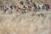 775137808CG00170_Cycling_13
