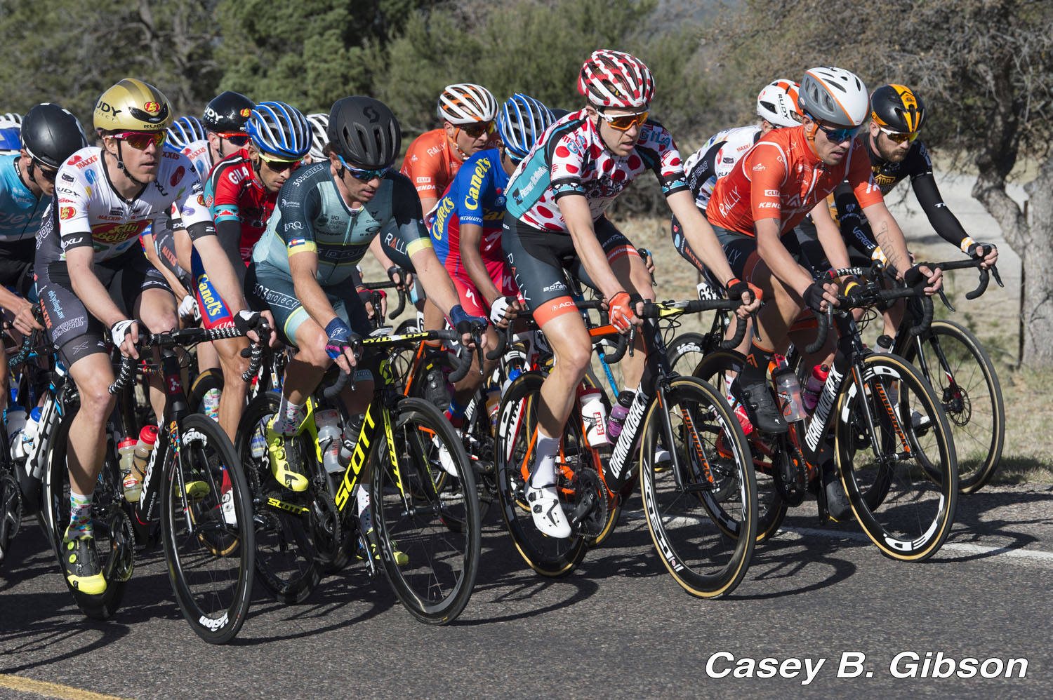 Silver City's Tour of the Gila, 2018