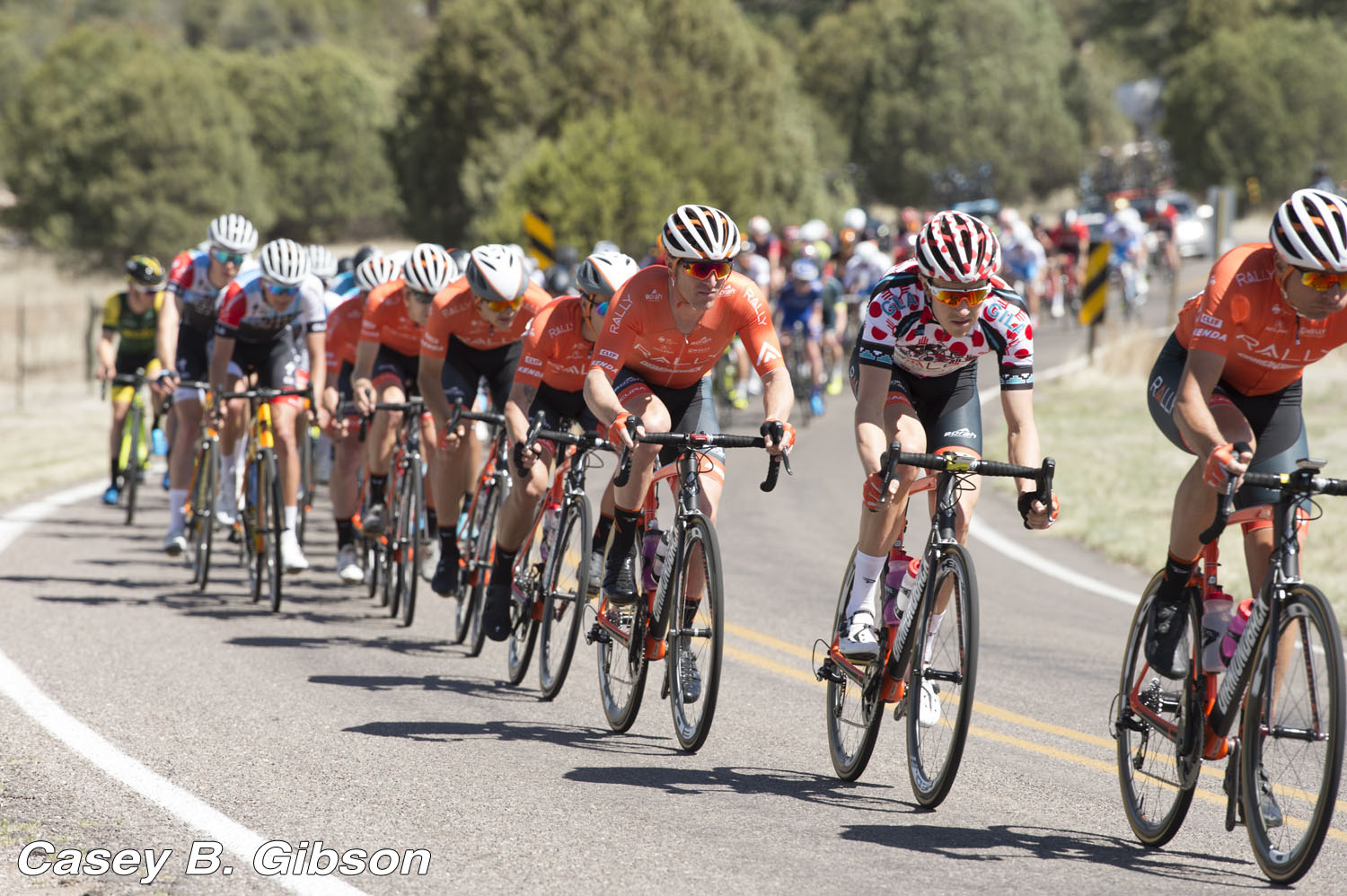 Silver City's Tour of the Gila, 2018