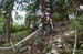 FerrandPrevot